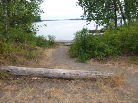 Path to the beach at the confluence of the Columbia and Willamette River - soft surface - logs on beach